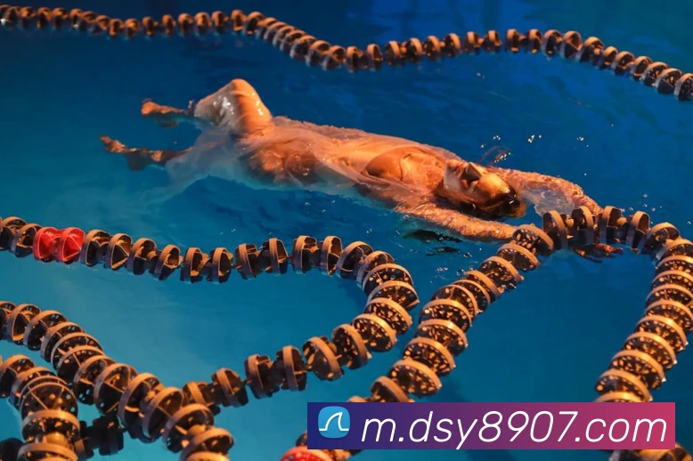 大三元官网平台登录服务体系